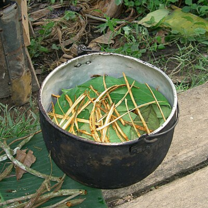 Ayahuasca image