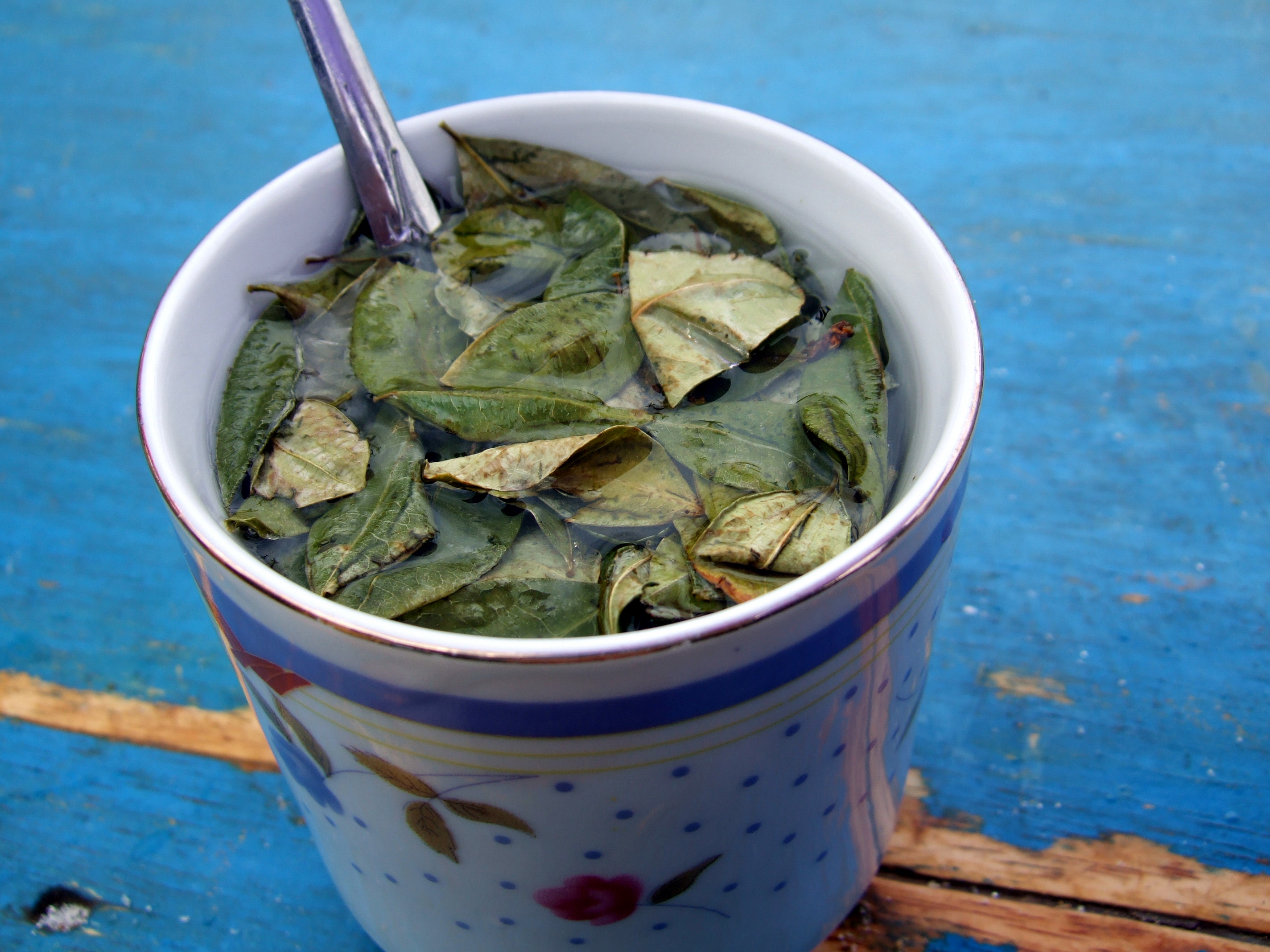 Coca Leaves image