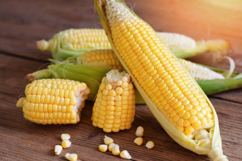 Corn image