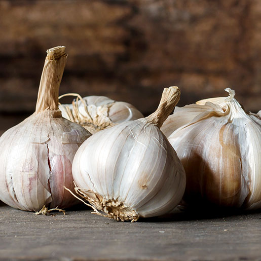 Garlic image