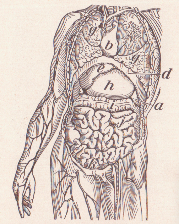 N/A