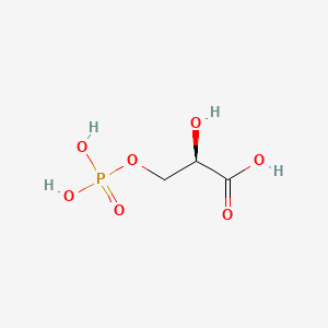 Chondroitin image